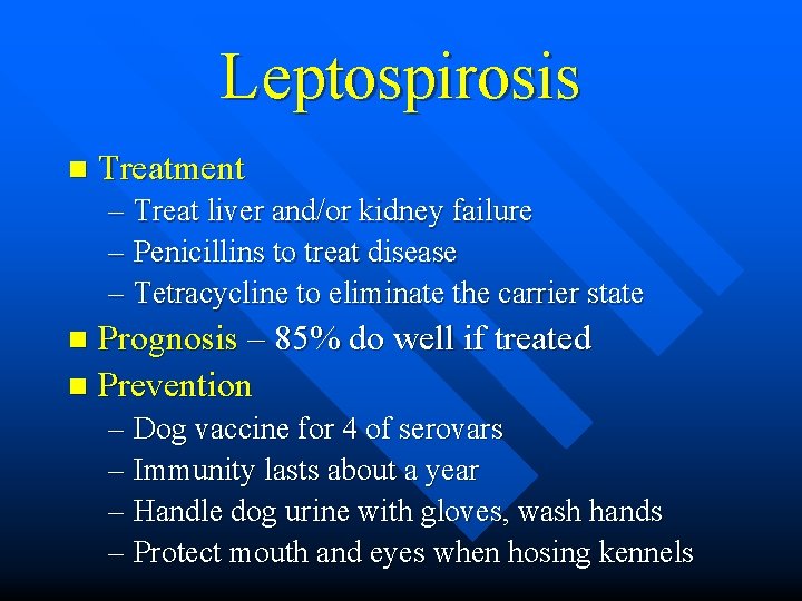 Leptospirosis n Treatment – Treat liver and/or kidney failure – Penicillins to treat disease