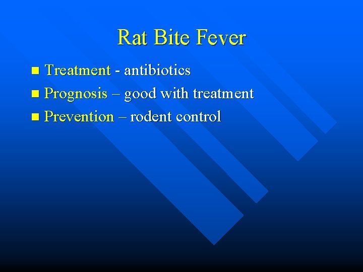 Rat Bite Fever Treatment - antibiotics n Prognosis – good with treatment n Prevention