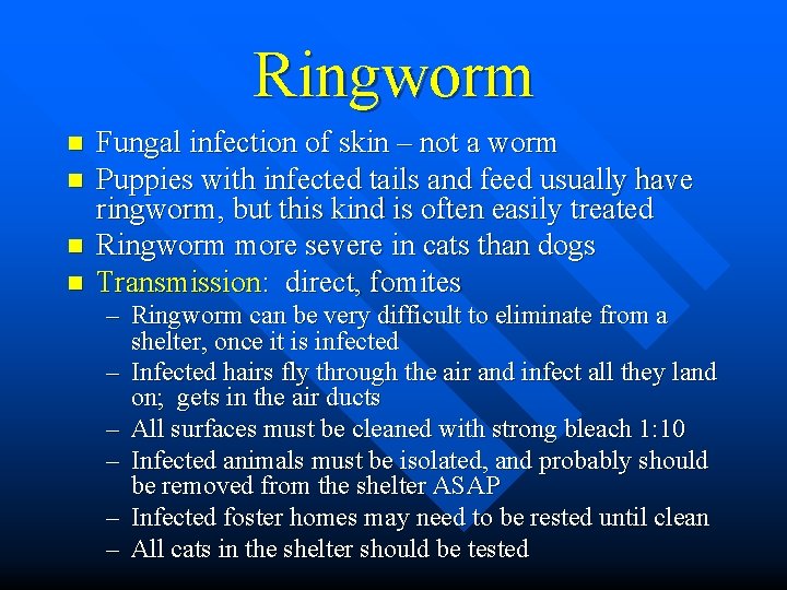 Ringworm n n Fungal infection of skin – not a worm Puppies with infected