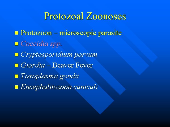 Protozoal Zoonoses Protozoon – microscopic parasite n Coccidia spp. n Cryptosporidium parvum n Giardia