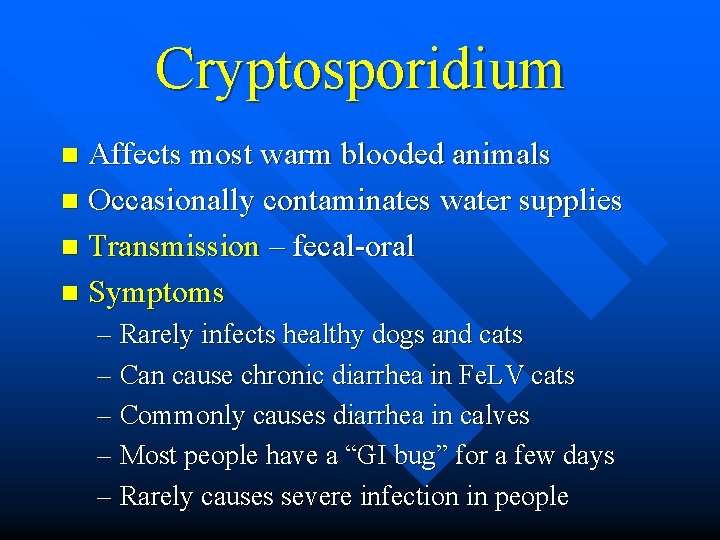 Cryptosporidium Affects most warm blooded animals n Occasionally contaminates water supplies n Transmission –