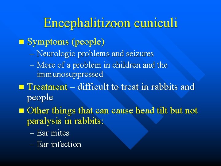 Encephalitizoon cuniculi n Symptoms (people) – Neurologic problems and seizures – More of a