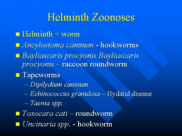 Helminth Zoonoses Helminth = worm n Ancylostoma caninum - hookworms n Bayliascaris procyonis –