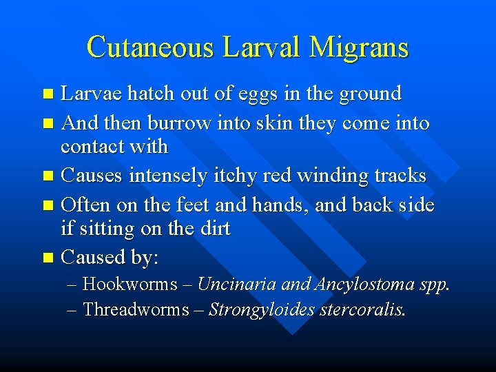 Cutaneous Larval Migrans Larvae hatch out of eggs in the ground n And then