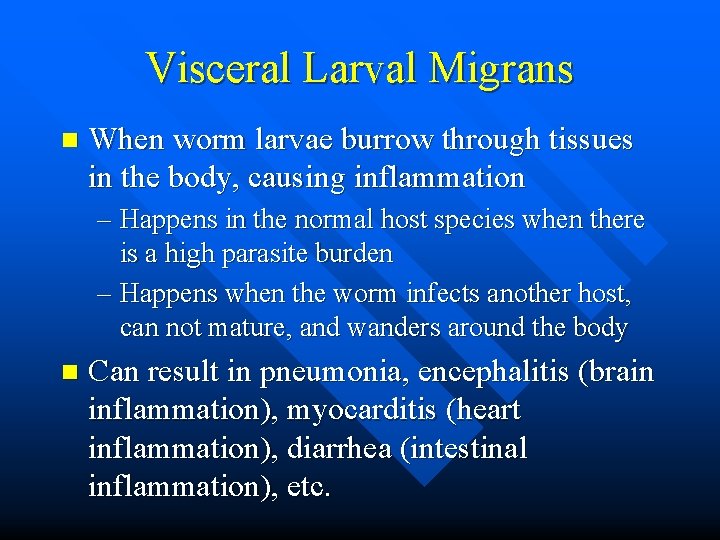 Visceral Larval Migrans n When worm larvae burrow through tissues in the body, causing