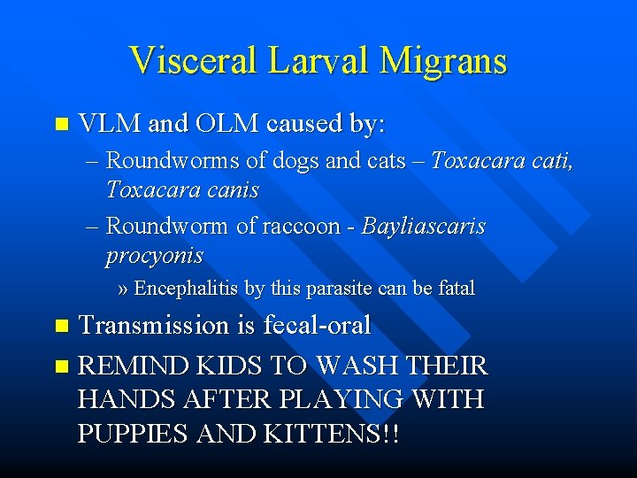 Visceral Larval Migrans n VLM and OLM caused by: – Roundworms of dogs and