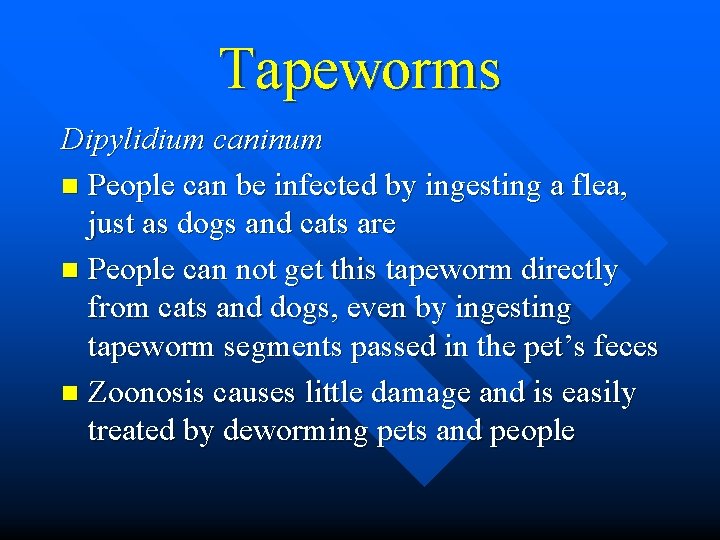 Tapeworms Dipylidium caninum n People can be infected by ingesting a flea, just as