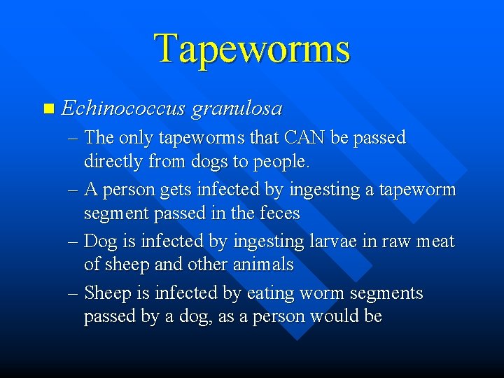 Tapeworms n Echinococcus granulosa – The only tapeworms that CAN be passed directly from