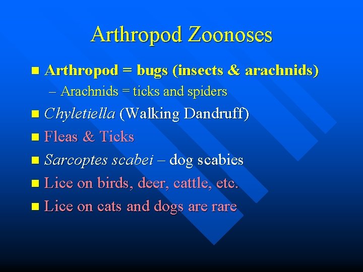 Arthropod Zoonoses n Arthropod = bugs (insects & arachnids) – Arachnids = ticks and