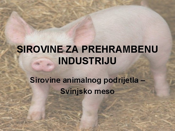 SIROVINE ZA PREHRAMBENU INDUSTRIJU Sirovine animalnog podrijetla – Svinjsko meso 