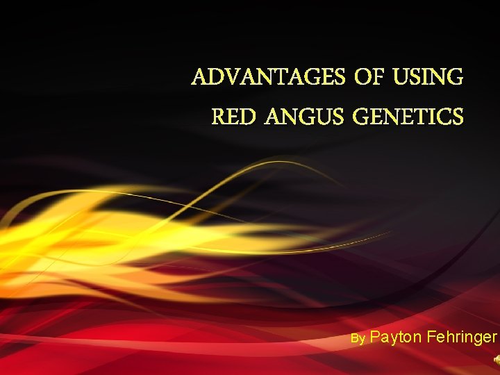 ADVANTAGES OF USING RED ANGUS GENETICS By Payton Fehringer 