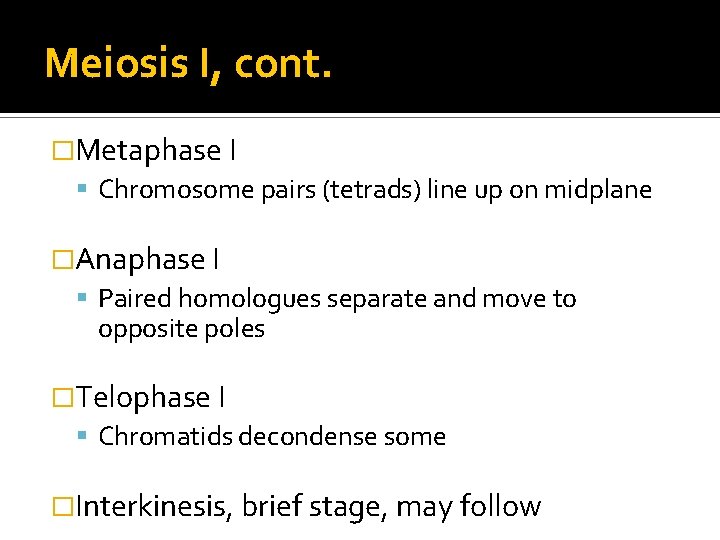 Meiosis I, cont. �Metaphase I Chromosome pairs (tetrads) line up on midplane �Anaphase I