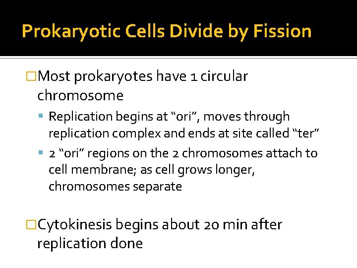 Prokaryotic Cells Divide by Fission �Most prokaryotes have 1 circular chromosome Replication begins at