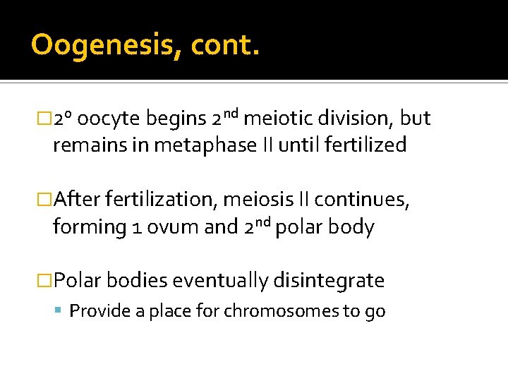 Oogenesis, cont. � 2 o oocyte begins 2 nd meiotic division, but remains in