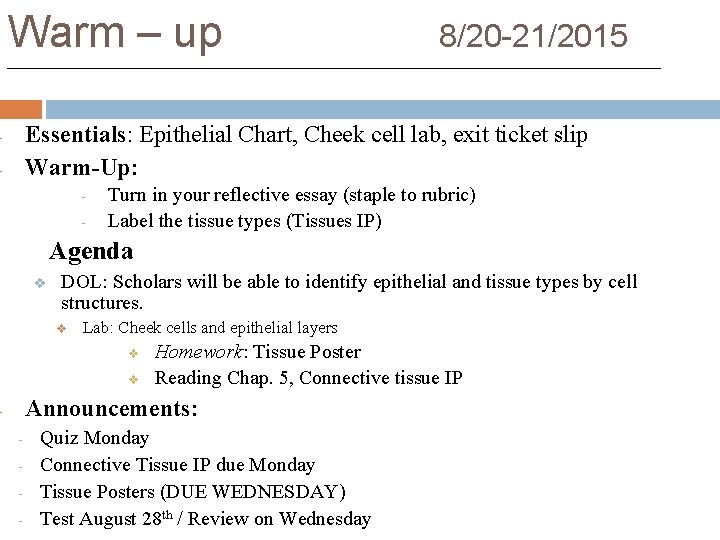 Warm – up 8/20 -21/2015 Essentials: Epithelial Chart, Cheek cell lab, exit ticket slip