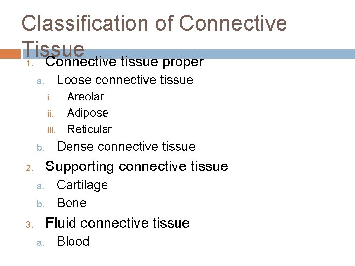 Classification of Connective Tissue 1. Connective tissue proper Loose connective tissue a. i. iii.