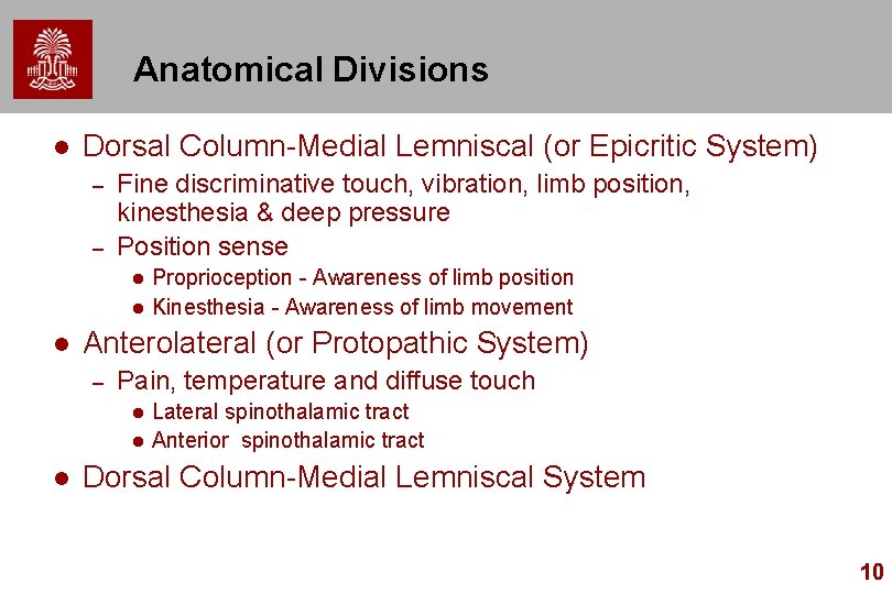 Anatomical Divisions l Dorsal Column-Medial Lemniscal (or Epicritic System) – – Fine discriminative touch,