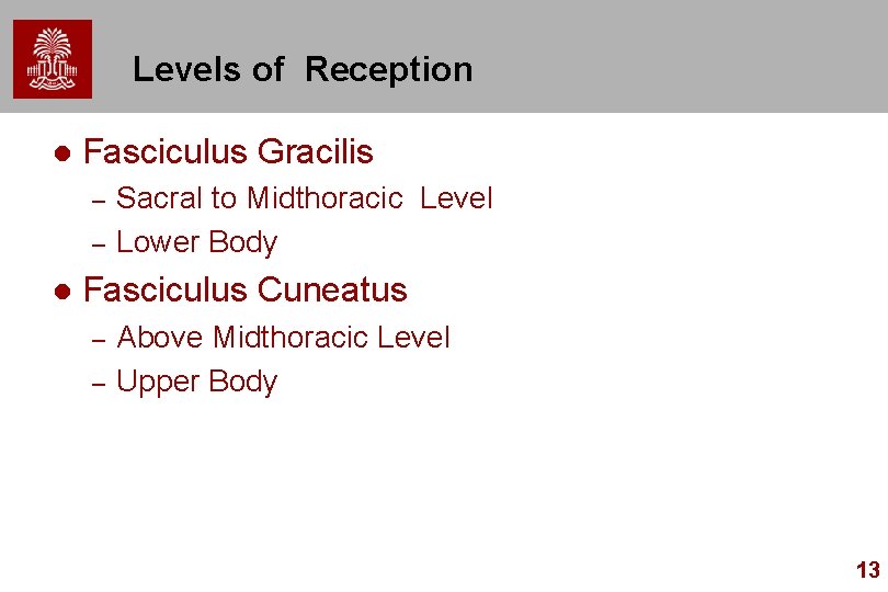 Levels of Reception l Fasciculus Gracilis – – l Sacral to Midthoracic Level Lower