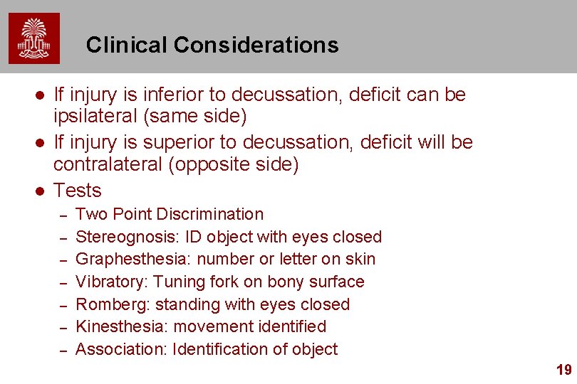 Clinical Considerations l l l If injury is inferior to decussation, deficit can be