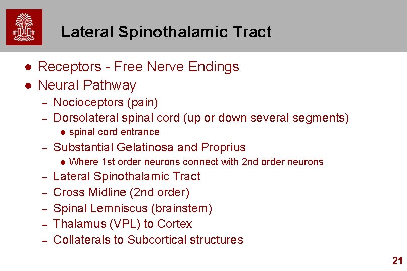 Lateral Spinothalamic Tract l l Receptors - Free Nerve Endings Neural Pathway – –