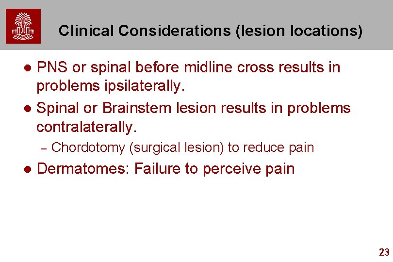 Clinical Considerations (lesion locations) PNS or spinal before midline cross results in problems ipsilaterally.