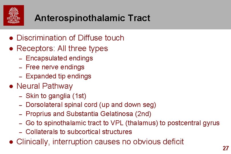 Anterospinothalamic Tract l l Discrimination of Diffuse touch Receptors: All three types – –