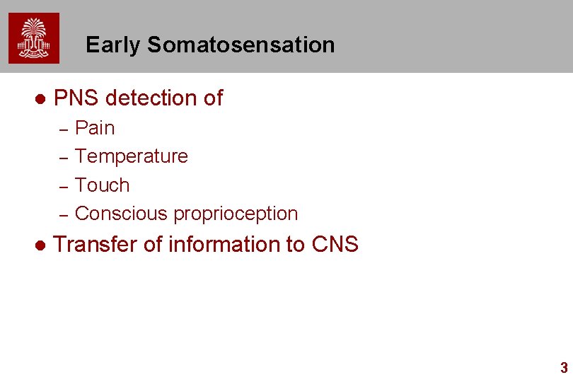 Early Somatosensation l PNS detection of – – l Pain Temperature Touch Conscious proprioception