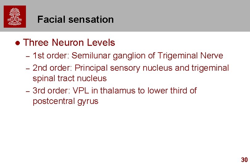 Facial sensation l Three Neuron Levels – – – 1 st order: Semilunar ganglion