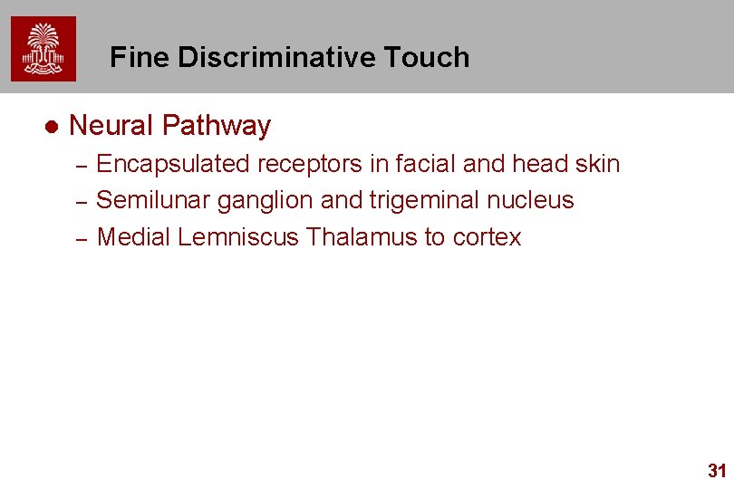 Fine Discriminative Touch l Neural Pathway – – – Encapsulated receptors in facial and