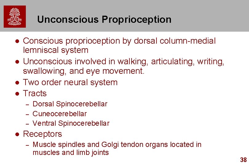 Unconscious Proprioception l l Conscious proprioception by dorsal column-medial lemniscal system Unconscious involved in