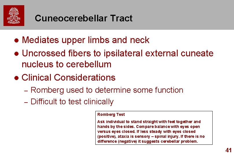 Cuneocerebellar Tract Mediates upper limbs and neck l Uncrossed fibers to ipsilateral external cuneate