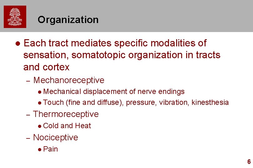 Organization l Each tract mediates specific modalities of sensation, somatotopic organization in tracts and
