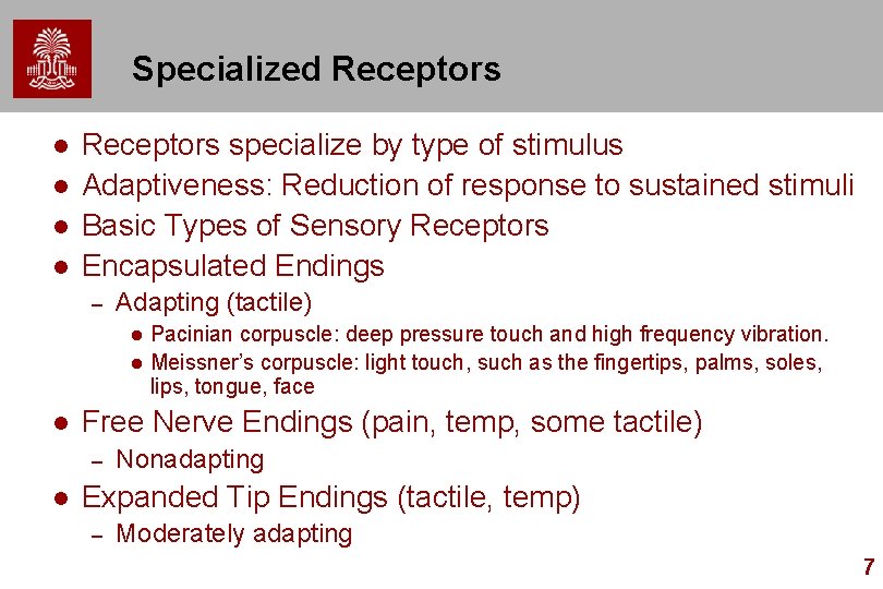 Specialized Receptors l l Receptors specialize by type of stimulus Adaptiveness: Reduction of response