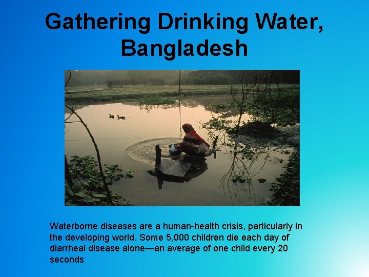 Gathering Drinking Water, Bangladesh Waterborne diseases are a human-health crisis, particularly in the developing