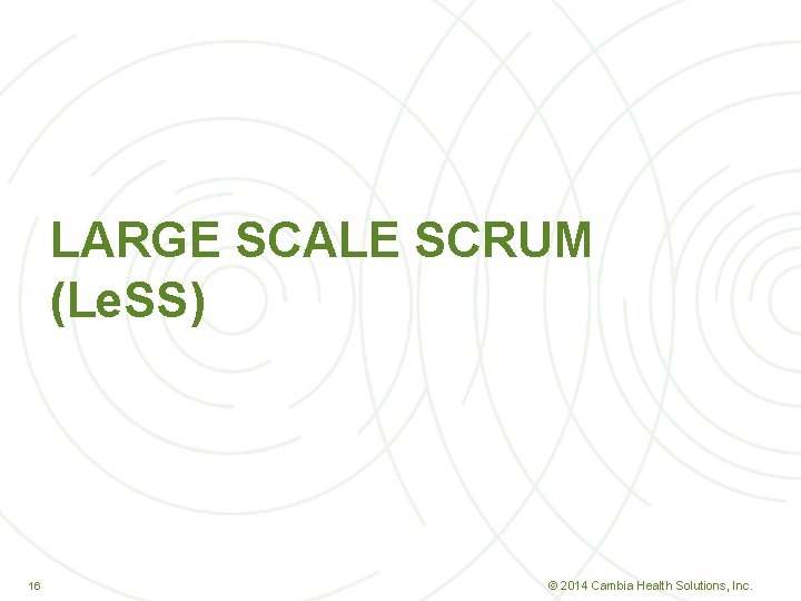 LARGE SCALE SCRUM (Le. SS) 16 16 © 2014 Cambia Health Solutions, Inc. 