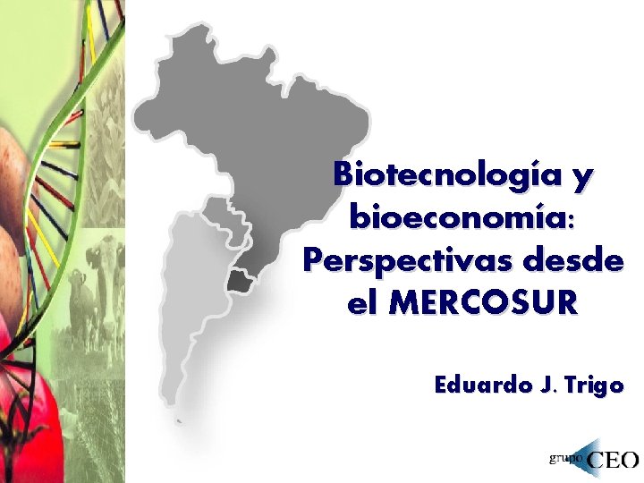 Biotecnología y bioeconomía: Perspectivas desde el MERCOSUR Eduardo J. Trigo 