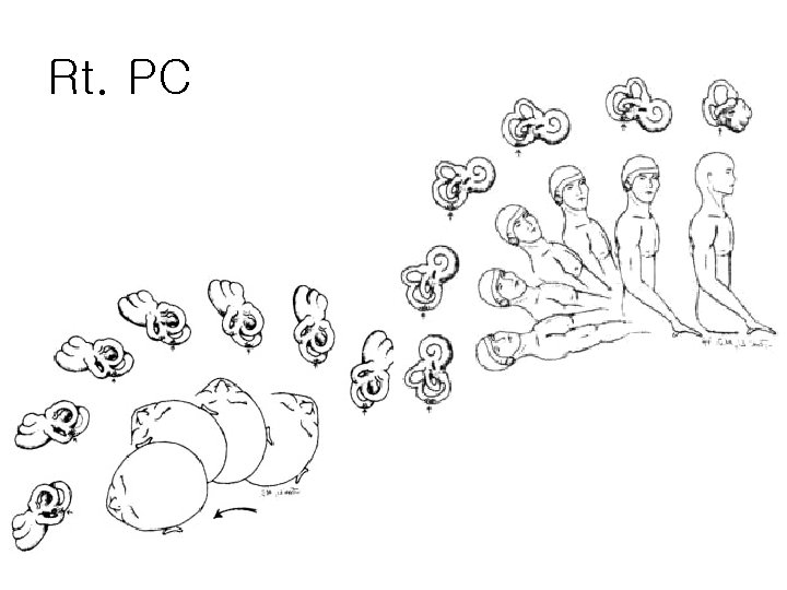 Rt. PC 