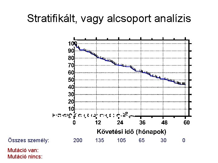 Stratifikált, vagy alcsoport analízis Összes személy: Mutáció van: Mutáció nincs: 200 135 105 65