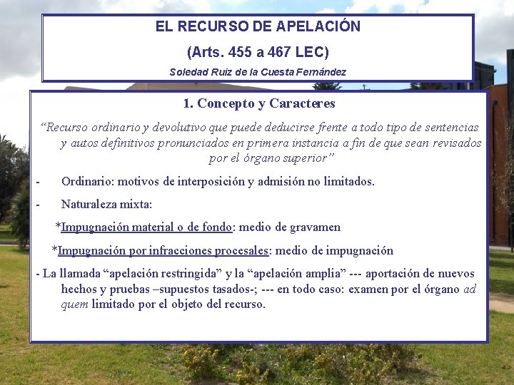 EL RECURSO DE APELACIÓN (Arts. 455 a 467 LEC) Soledad Ruiz de la Cuesta