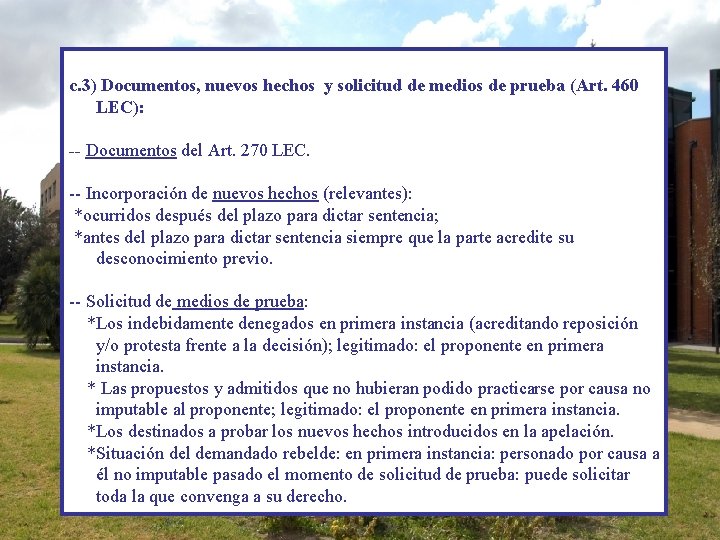 c. 3) Documentos, nuevos hechos y solicitud de medios de prueba (Art. 460 LEC):