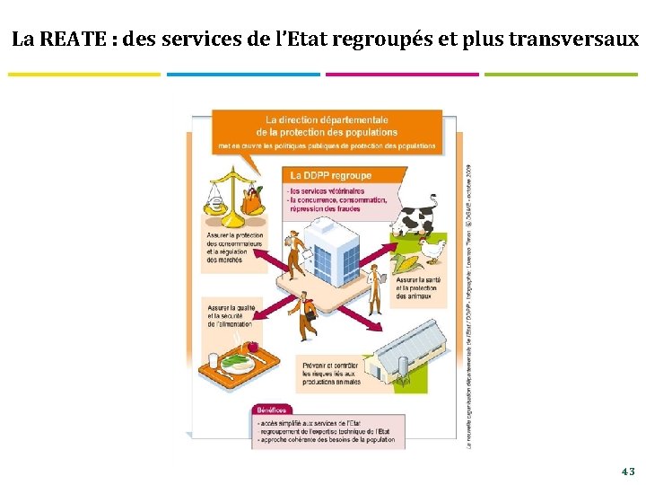 La REATE : des services de l’Etat regroupés et plus transversaux 43 