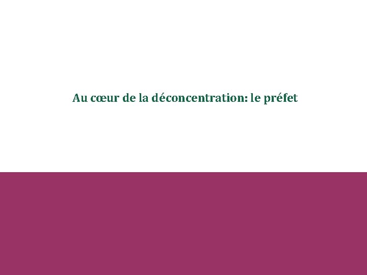 Au cœur de la déconcentration: le préfet 