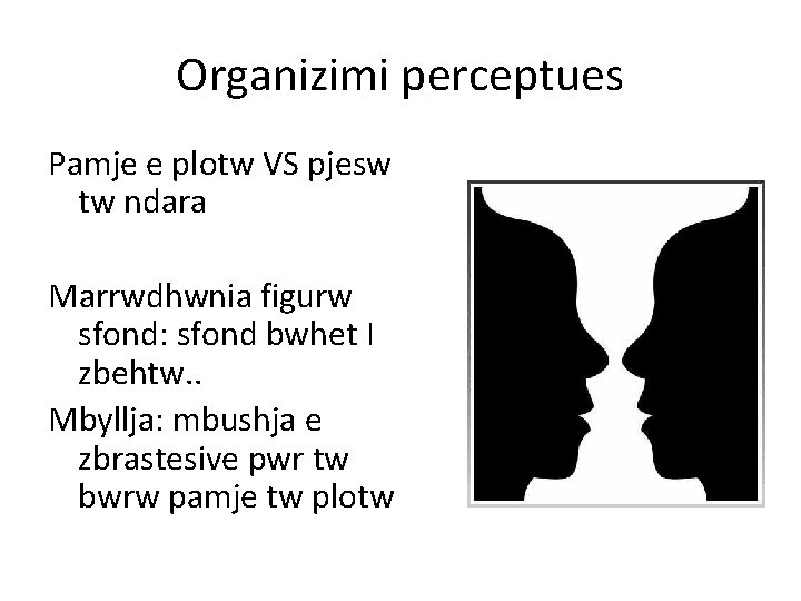 Organizimi perceptues Pamje e plotw VS pjesw tw ndara Marrwdhwnia figurw sfond: sfond bwhet