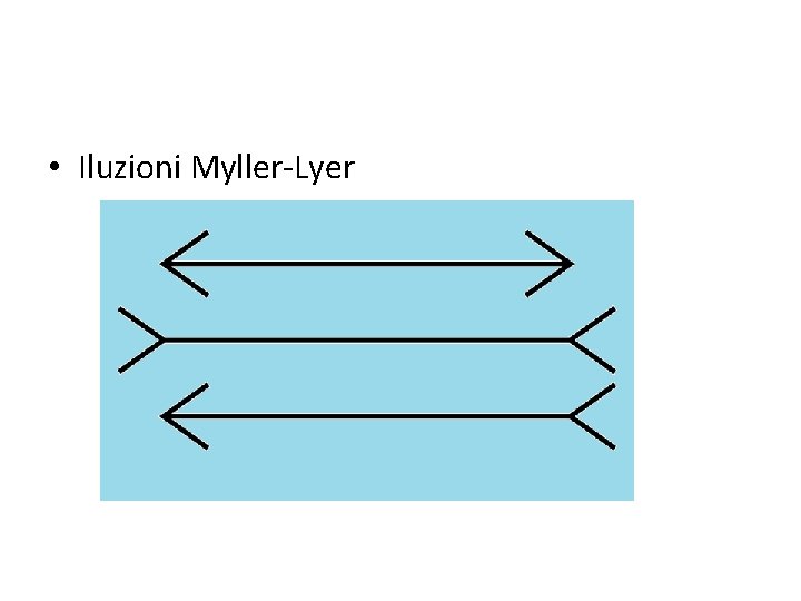  • Iluzioni Myller-Lyer 