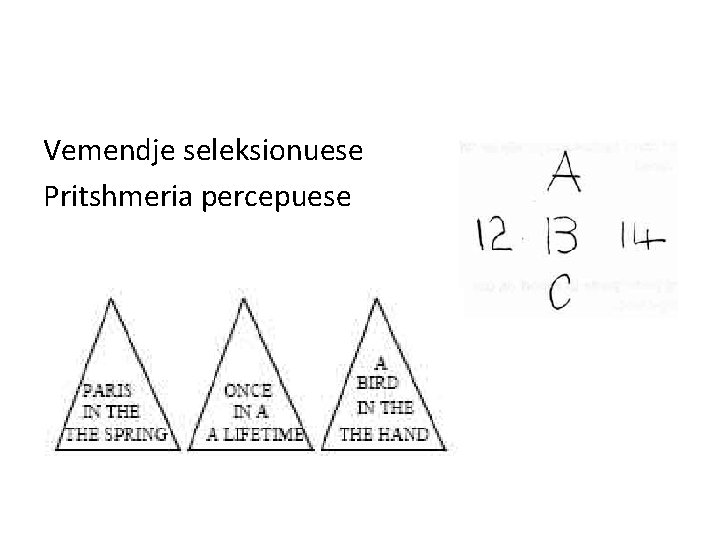 Vemendje seleksionuese Pritshmeria percepuese 