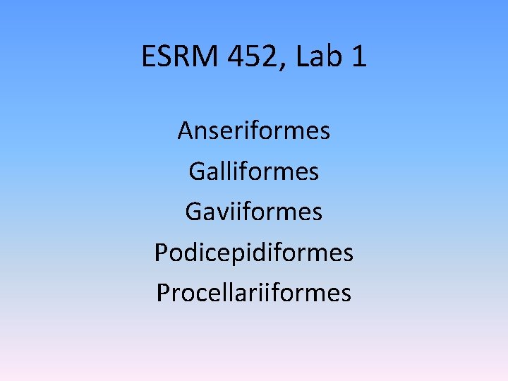 ESRM 452, Lab 1 Anseriformes Galliformes Gaviiformes Podicepidiformes Procellariiformes 