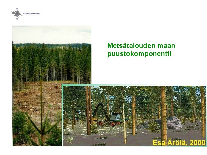 Metsätalouden maan puustokomponentti 