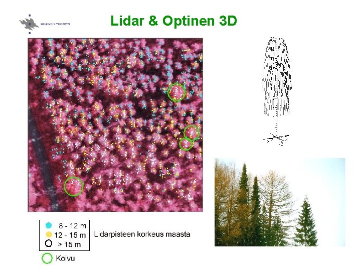 Lidar & Optinen 3 D 