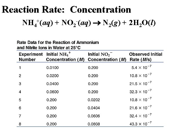 Reaction Rate: Concentration NH 4+(aq) + NO 2 -(aq) N 2(g) + 2 H