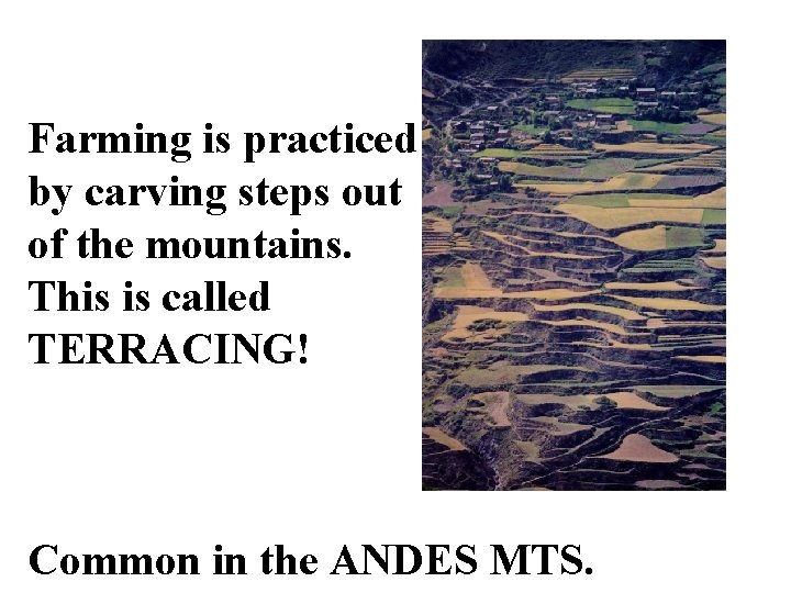 Farming is practiced by carving steps out of the mountains. This is called TERRACING!